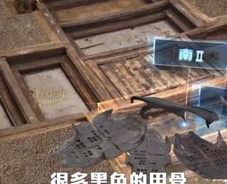 武王墩大墓首次發現！楚王珍藏的“長霝”長啥樣