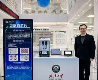 芯片上“种” 出心和脑！武大团队解锁生命科学新密码