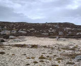 4300米考古发现揭示史前人类“世界屋脊”活动轨迹