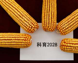 中国科学院举行“种子专项”系列科研成果新闻发布会