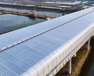 400米花费1560万元，只为降噪20分贝！万里长江首次为鸟儿戴上“降噪耳机”