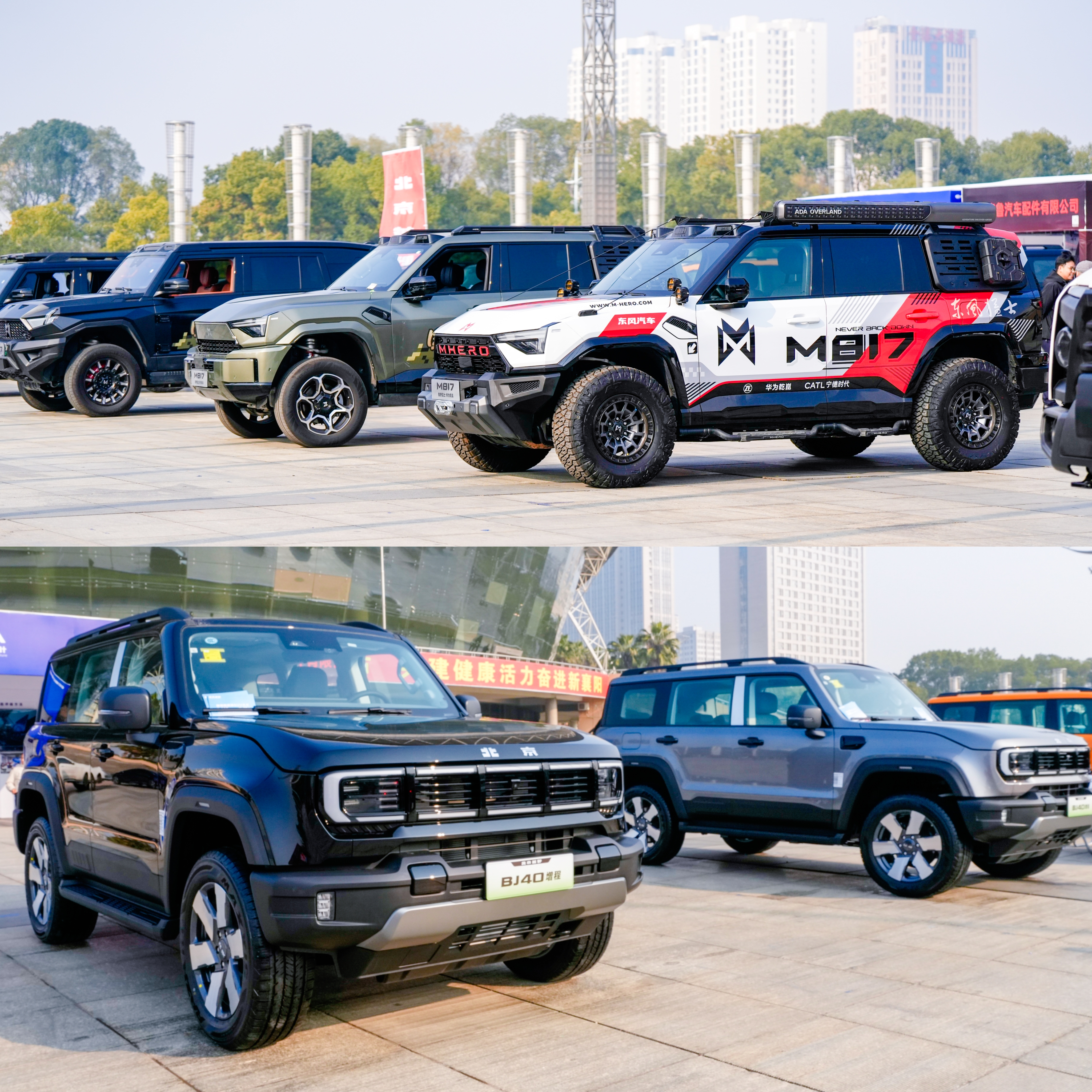 公募大咖展望明年行情 最可能赚盈利稳定的钱