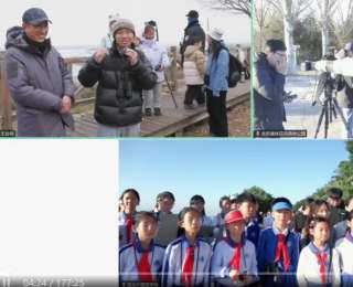 7000人共赴候鸟之约！京汉深三地观鸟直播打造沉浸式自然课堂