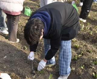 锄头当课本、灶台作考场，这些大学生变身农事小能手