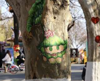 武汉东湖绿道：大树披“彩衣”，喜迎新年到