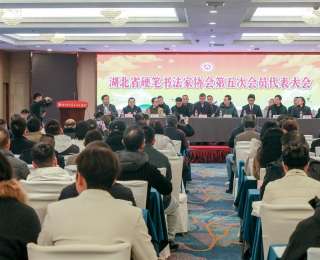 湖北省硬笔书法家协会成功换届，柳长忠连任主席，王臻良获聘名誉主席