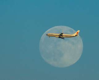 新鲜出炉！2026年元月“星空舞台”节目单来了