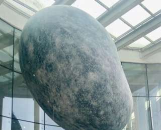 中國姿態(tài)當(dāng)代起舞！“第七屆中國雕塑展”在漢開幕