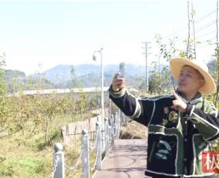 从房地产转行种梨，他靠“宠粉”抖音卖火大山金果梨