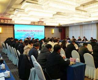 湖北天麻 从“单打独斗”到“握指成拳”——2025年湖北省天麻产业发展大会侧记