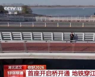 桥面可“坐电梯”般升降 湖北武汉首座开启桥正式开通