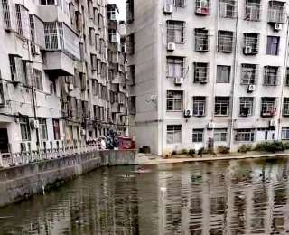 4岁男童寒冬落水，90秒黄金救援！党员胡明纵身跃入刺骨水塘