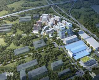 刚刚，首批认定！