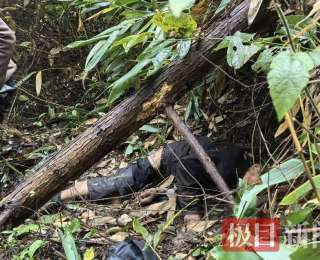 生命接力！七旬翁雨夜坠坎，警民自制“床单担架”抬行十里救人