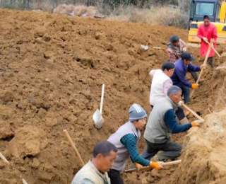 山药产业的“链”式跃进