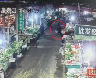 新治安管理处罚法施行首日 湖北保康警方查处首例犬只伤人案