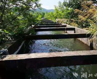 《焦点访谈》聚焦武汉府澴河流域生态补偿