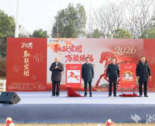 驰跃宏图 万骏臻福 《丙午年》生肖邮票在武汉首发