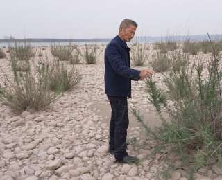 七旬老人十年守护“长江绿色哨兵”