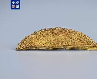 西域特色金银器、波斯萨珊银币……陕西唐代马三娘墓考古出土多件器物