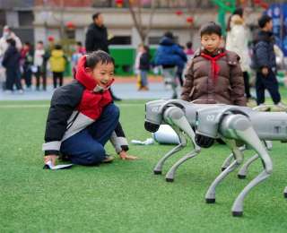 从废纸箱“时光机”到意念控制机械手：小学科创嘉年华上演“未来奇遇记”