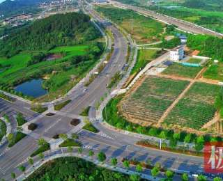 阡陌织锦 沃野生金——湖北黄梅乡村振兴绘就富民强村新图景