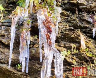 崖壁冰凌藏翠色