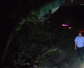 通城公安：深耕“小警务”护航“大营商”，以公安之力服务高质量发展