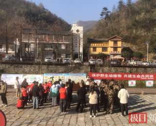 十堰茅箭区多措并举强化野生动植物保护