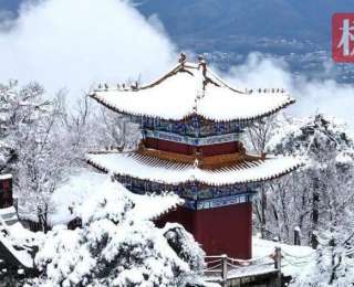 湖北偏头山国家森林公园雪后盛景：云海铺底 金顶耀光