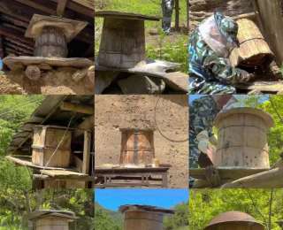 致富先锋胡长林：以双手描绘幸福新篇章，助力乡村振兴之路