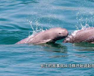 长江大保护十周年丨原来你是这样的宜昌