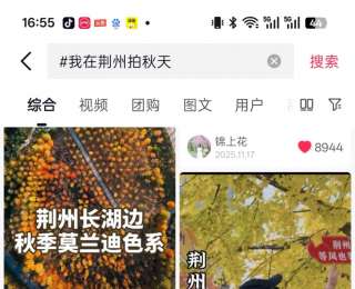 荆州秋色全民推荐官短视频征集大赛获奖名单出炉