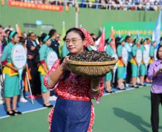 ​湖北唯一！京山“村网”模式入选全国典型案例