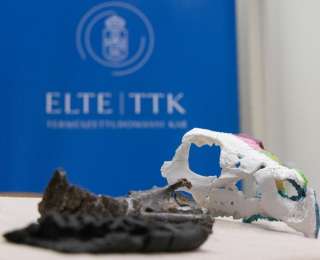 新发现证实角龙类恐龙曾生活在白垩纪晚期的欧洲