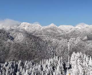 冰雪冬韵｜湖北咸丰：林海换银装