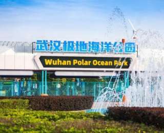 致敬人民警察！武汉极地海洋度假区推出专属福利