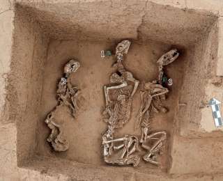 殷墟王陵区发现我国最早“野生动物园”