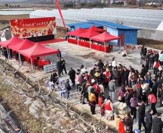 土味足，年味浓，“一站式”年货节让孝昌乡村“热”起来