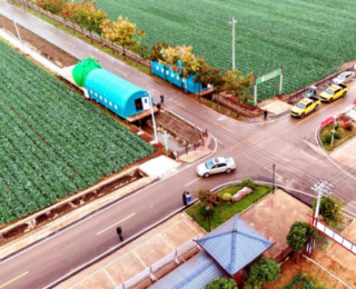 牢记嘱托 感恩奋进｜路通村美气象新——嘉鱼：沃野“蔬”写共富经