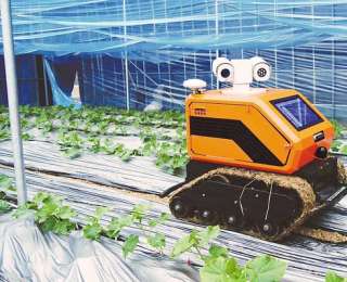 南漳田垄间智能机器人上新！6分钟巡检一个温室大棚