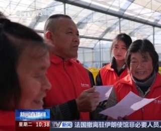 无人机植保+数字化管控 “00后种菜班”让智慧种菜成为田间日常