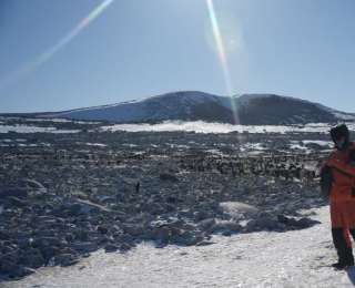跨越三十余年！中国考察队与阿德利企鹅的南极之约