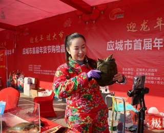 “楚天甲鱼第一镇”——应城汤池甲鱼火爆背后的产业密码