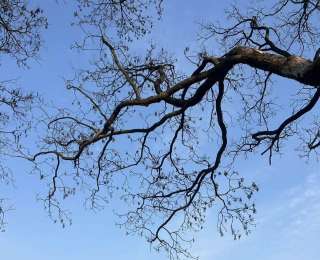 今明两天武汉晴到多云，后天开始气温连续降