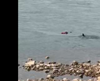 纵身跳入寒江！宜昌好心人勇救落水者