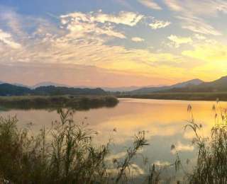 扮亮省界门户，通山洪港欲以“高山泉、非遗龙”拓宽全域旅游版图