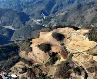 鹤峰：“小土豆”变身“金豆豆” 一粒薯种“链”出乡村振兴新图景