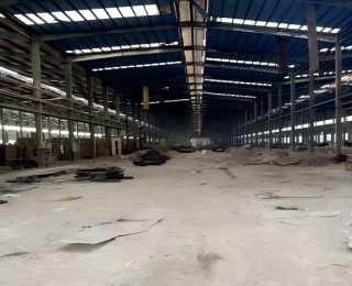 长了8年杂草的478亩土地 长出一条绿色循环产业链