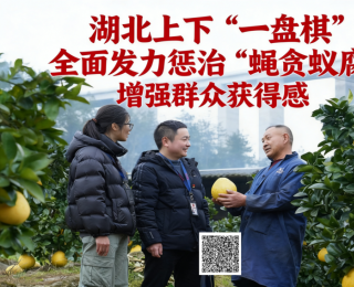 正风肃纪反腐2025丨湖北上下“一盘棋”全面发力惩治“蝇贪蚁腐”，增强群众获得感